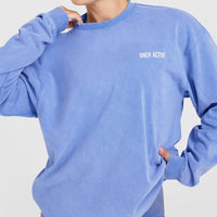 Oversized Graphic Washed Long Sleeve Top | Glaucous Blue
