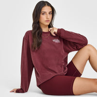 Oner Graphic Washed Long Sleeve Top | Rosewood