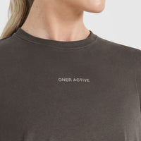 Classic Mirror Graphic Oversized T-Shirt | Washed Deep Taupe