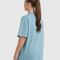 Classic Oversized Lightweight T-Shirt | Steel Blue