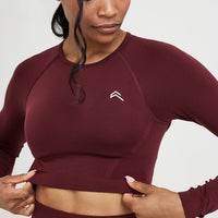 Effortless Seamless Long Sleeve Crop Top | Rosewood